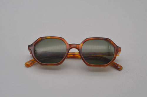 Amber Tortoise