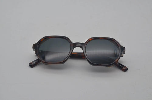 Dark Tortoise